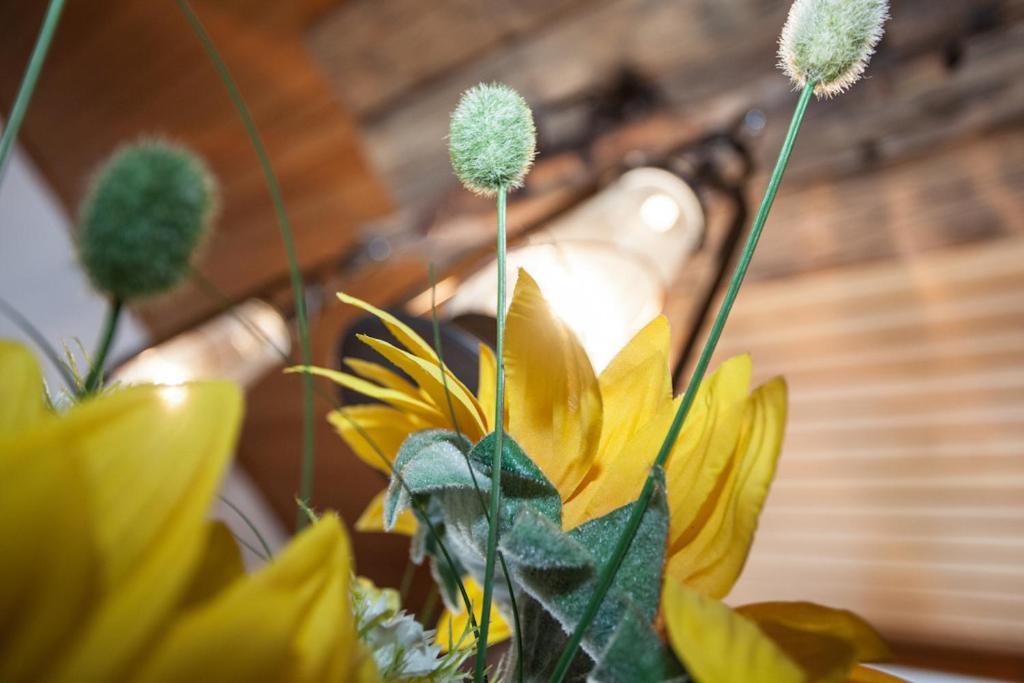 Chalet Appartement Alpenherz Saalbach-Hinterglemm Pokoj fotografie